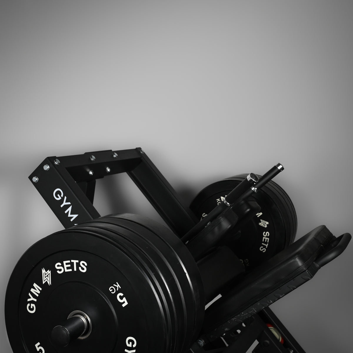 Commercial Leg Press & Hack Squat Machine
