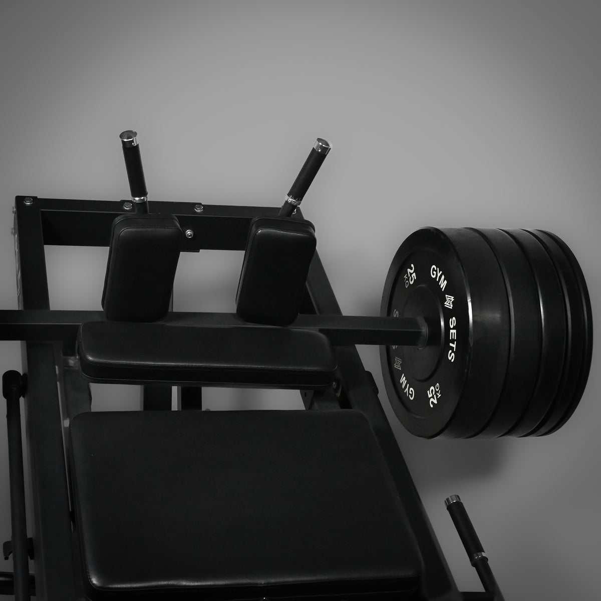 Commercial Leg Press & Hack Squat Machine